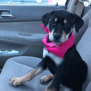 Meet your Posher, Mary